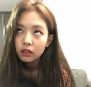 Telegram stiker 😻 blackpink