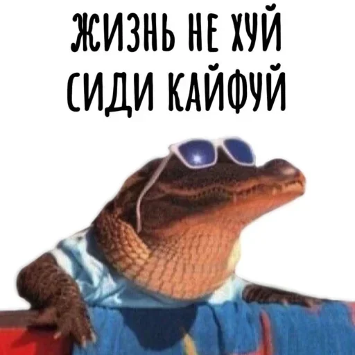 Telegram sticker 😎 Больше стиков тут: @stikery4