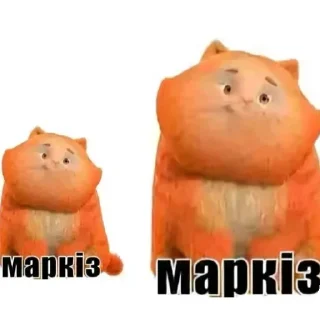 Video sticker 🧸 Больше стиков тут: @stikery4