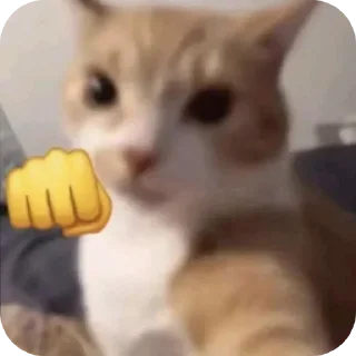 Telegram sticker 🐱 Owner-Natsumi