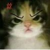 Video sticker 🤩 random ➜ @emoji1