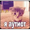 Video sticker 🤩 random ➜ @emoji1