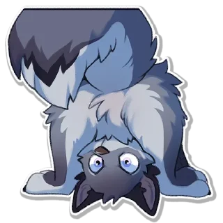 Video sticker 🙃 🐺 Wolfy @StickersPackRobot