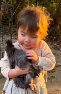 Video sticker 😘 پک مصا