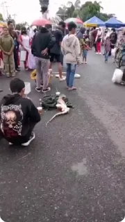 Video sticker 😕 پک مصا