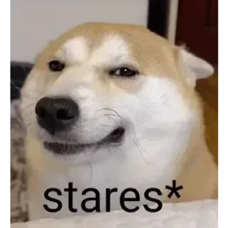 Sticker 👀 ᴀʟᴏɴᴇ ʙᴏʏs kang pack