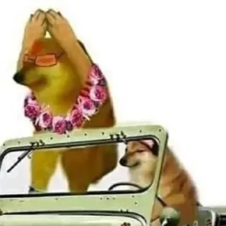 Video sticker 🙏 ᴀʟᴏɴᴇ ʙᴏʏs kang pack