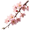 Sticker 🌱 Spring ➜ @OrderEmoji