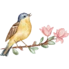 Sticker 🌱 Spring ➜ @OrderEmoji