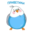 Video sticker 👋 Голубой Птенчик (@TgSticker)
