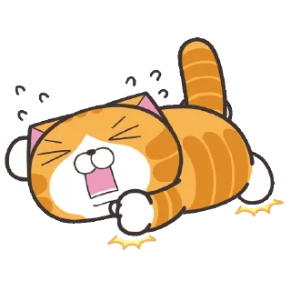 Video sticker 😩 Lan Lan Cat