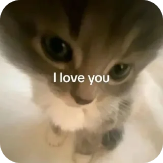 Telegram sticker ❤ Бля