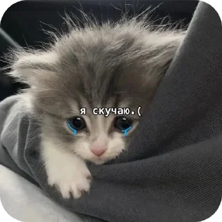 Telegram sticker 😭 Бля