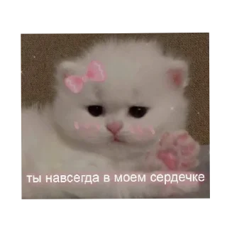 Video sticker ❤ Бля