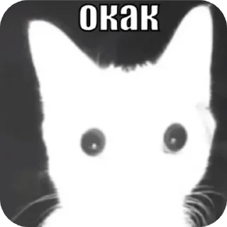 Sticker 😳 Бля