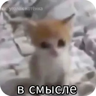 Telegram sticker 🤨 Бля
