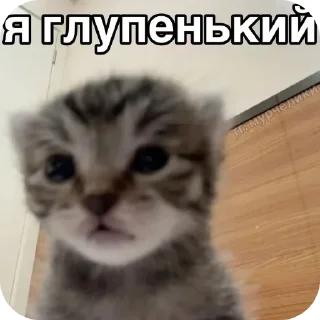 Telegram sticker 😡 Бля