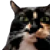 Sticker 😺 Бэбэй с GG