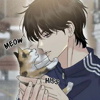 Video sticker 🐈‍⬛ 𝙷𝚢𝚎𝚘𝚗𝚍𝚘 :: @So_yeonm