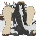 Video sticker 👊 Not Seff for Work