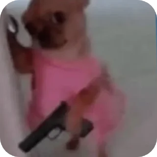 Video sticker 😊 j.gonzález_