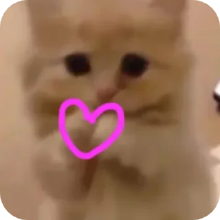 Video sticker 🫶 j.gonzález_
