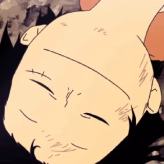 Video sticker 😁 One piece ¦ @figurinhasWa