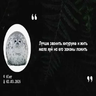 Video sticker 😍 дауны ➡️ @годжа