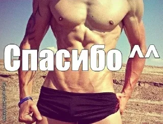 Sticker 👍 @llllpsha :: ★☆★