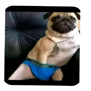 Video sticker ✋ tt comments