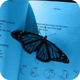 Video sticker 🐞 Group - @Random_Gc77