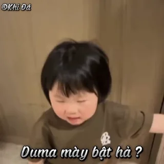 Video sticker 🌟 Khỉ Đá :: @fStikBot