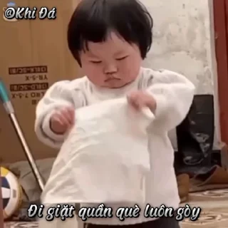 Video sticker 🌟 Khỉ Đá :: @fStikBot