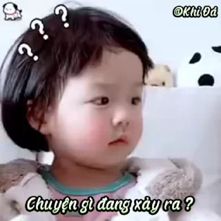 Video sticker 🌟 Khỉ Đá :: @fStikBot