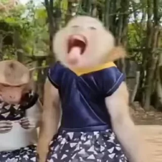 Video sticker 🤣 yassey :: @fStikBot