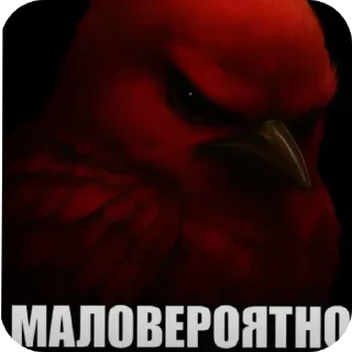 Video sticker 🐦 мэмчик