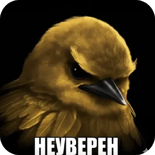 Video sticker 🐦 мэмчик