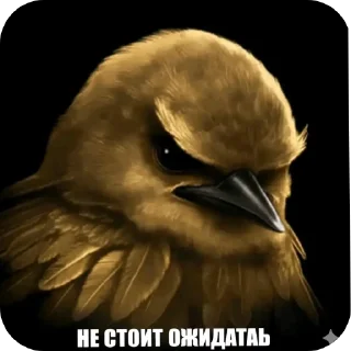 Telegram sticker 🐦 мэмчик