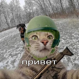 Телеграм стикер 👋 military.hub :: @fStikBot