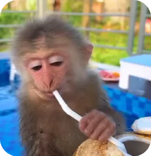 Video sticker 🥤 Jackfřost