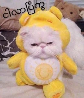 Телеграм стикер 😉 Pika pika