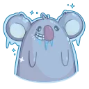 Video sticker 🥶 La Koala