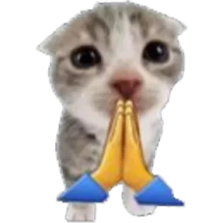 Video sticker 🙏 Reaction games