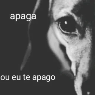 Telegram sticker 😴 zap