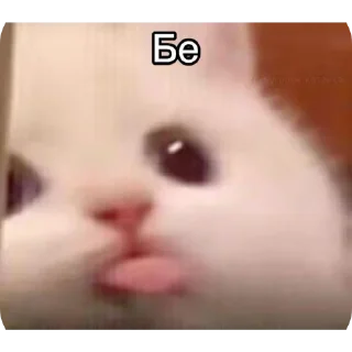 Телеграм стикер 👍 Мемы :: @fStikBot