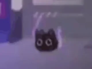 Video sticker 💃 Nopp