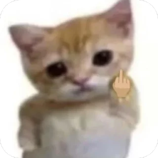 Video sticker 🖕 Nopp