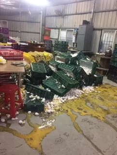 Telegram sticker 🌟 Doença10 :: @fStikBot