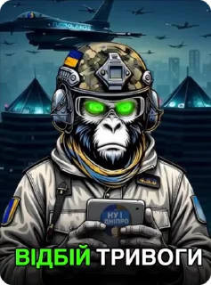 Video sticker ✅ НУ І ДНІПРО - @ny_i_dnipro :: @fStikBot