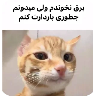 Telegram sticker 👍 Doll malek